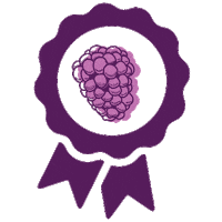 Fruit Violet Sticker by Berries Paradise
