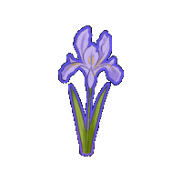 Flower Sticker