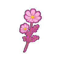 Flower 스티커 Sticker