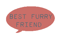 Dog Dachshund Sticker