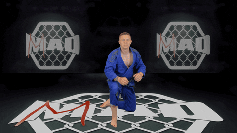 Battersea GIF by MMADen