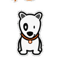 Happy Party Sticker by WPBR Marketing Digital