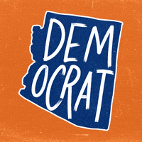 Voting Election Day GIF by Creative Courage