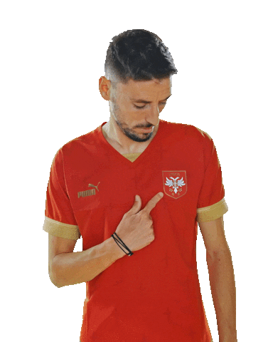 Filipmladenovic Sticker by sportmts