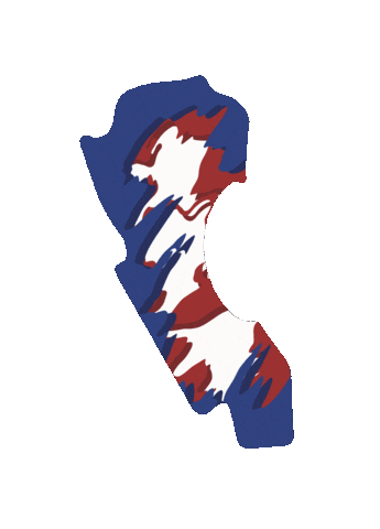 Racing F1 Sticker