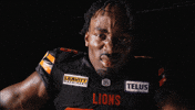Football Vancouver GIF by BC Lions