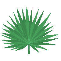 Leaf Palm Sticker by Juwel-lettering