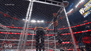 Wwe Wrestling GIF by USA Network