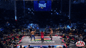 luchalibreaaa  GIF