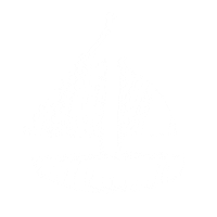 Ocean Sea Sticker by Visit Sunshine Coast