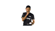 Brazil Vamos Sticker by MIBR