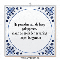 Hoop Wijsheid GIF by Tegelspreuken.nl