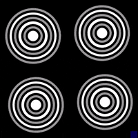 black and white animation GIF by The New Big Poppa E