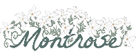 Montrose Sticker by Modern Mayberry