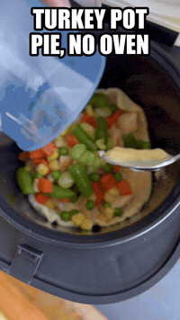 Turkey Pot Pie, No Oven | Rice Robot