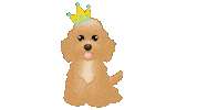 King And Queen Dog Sticker by zoopeez