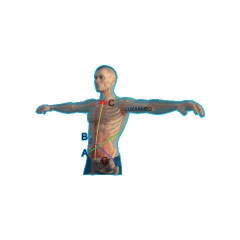 jobangebote physiotherapie
