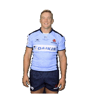 New South Wales Dance Sticker by NSW Waratahs