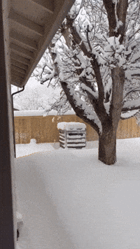 Coloradans Prepare to Shovel Amid 'Significant' Winter Storm