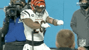 Winning Nfl Playoffs GIF by NFL