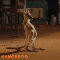 Deborah Mailman Kangaroo GIF by STUDIOCANAL