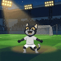 Football Omg GIF by CATBAT