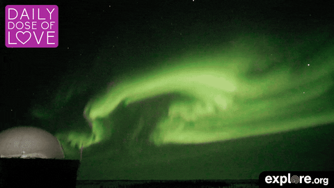 northern lights love GIF by explore.org