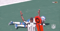 Detroit Lions Football GIF by NFL
