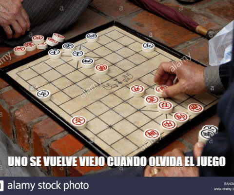 the-yis-one giphygifmaker GIF