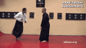 ninjutsu GIF by AKBAN Academy