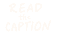 Caption Sticker by jenny henderson studio