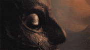 Magic Amc GIF by A Discovery of Witches
