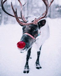 X-Mas Christmas GIF by Ricola USA