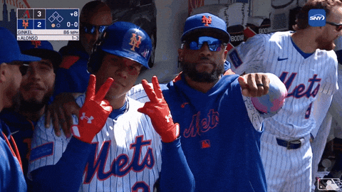 Home Run Celebration GIF by New York Mets