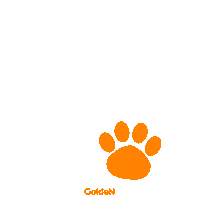 Cat Dog Sticker by PremieRpet