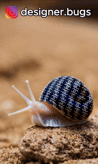 Fashion Luxury GIF