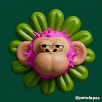 Sunglasses Deal With It GIF by Evan Hilton