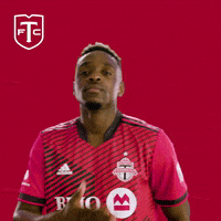 Represent Major League Soccer GIF by Toronto FC