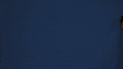 College Football GIF by Fighting Illini Athletics