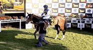 Winning Number 1 GIF by 1 Play Sports