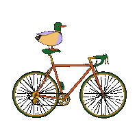 katgmorris bike duck ride bicycle Sticker