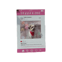 Bailey Sticker by tellacouture