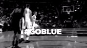 GIF by Michigan Athletics