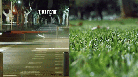 carmelgilan giphyupload GIF