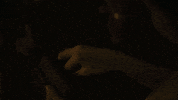 Do You See What I See Horror GIF by MD Pictures