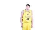 Liga Endesa No Sticker by ACB