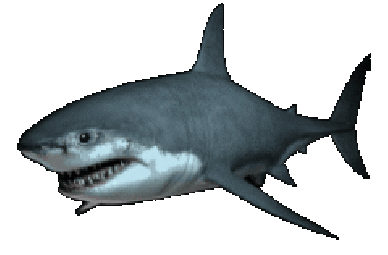Shark Week Lol Sticker by hAyDiRoKeT