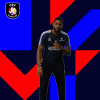 EuroVolley2019Fr volleyball eurovolley ffvolley edfvolley GIF