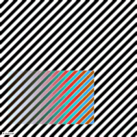 art geometry GIF by Michel Poisson