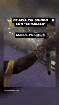 Estados Unidos Mexico GIF by mario salseo